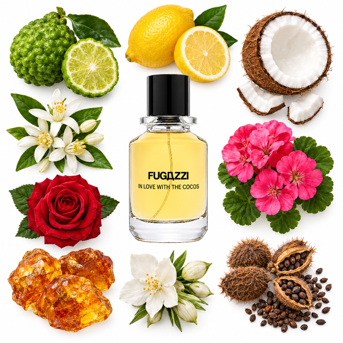 Fugazzi In Love with the Cocos Extrait de Parfum with scent notes