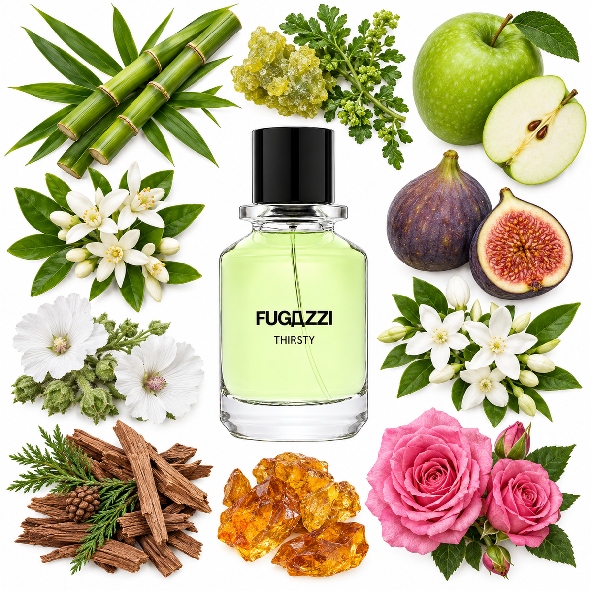 Fugazzi Thirsty Extrait de Parfum with scent notes