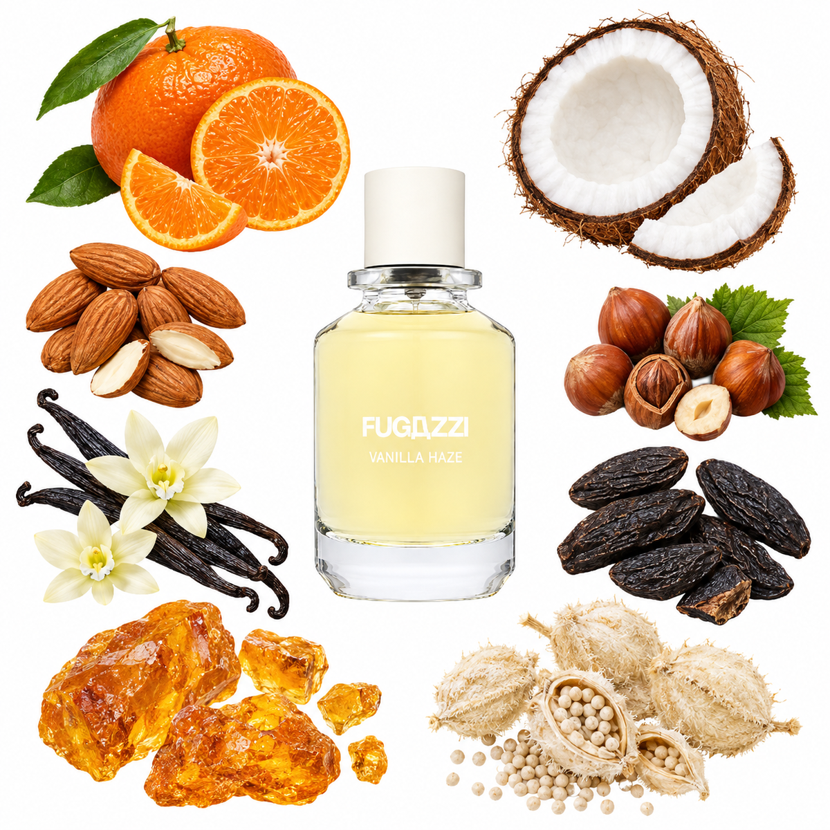 Fugazzi Vanilla Haze Eau de Parfum with scent notes