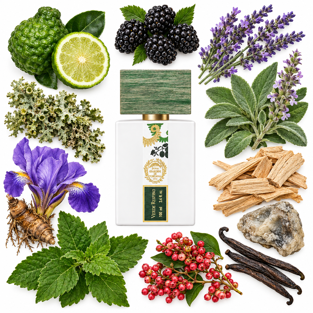 Giardini di Toscana Verde Respiro Eau de Parfum with scent notes