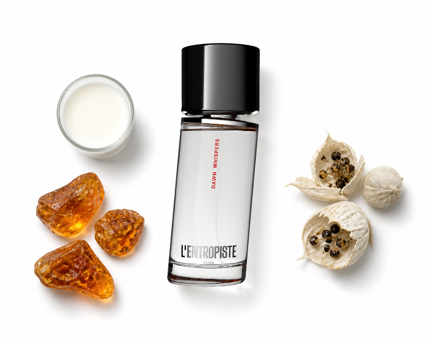 L'Entropiste Dawn Whispers Eau de Parfum 100 ml with scent notes