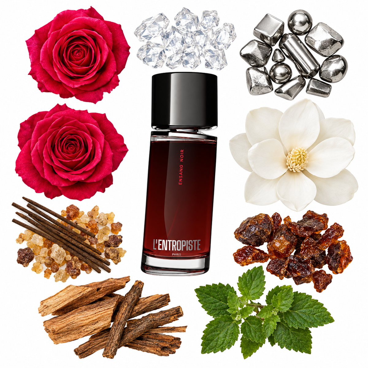 L'Entropiste Ensang Noir Eau de Parfum with scent notes