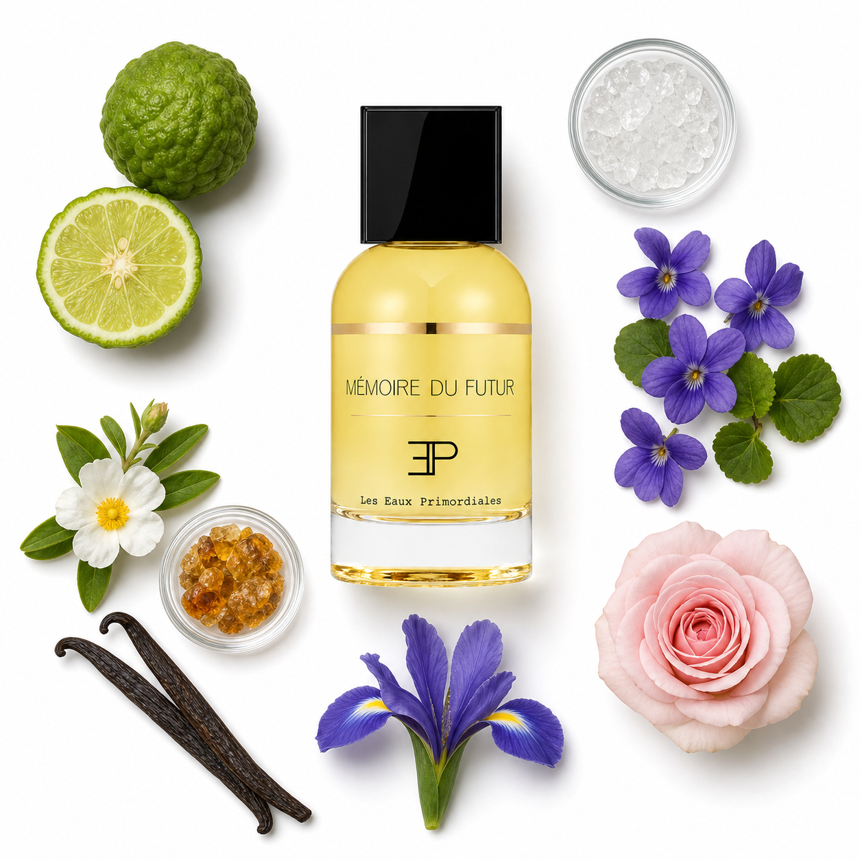 Les Eaux Primordiales Memoire Du Futur Eau de Parfum 100 ml with scent notes
