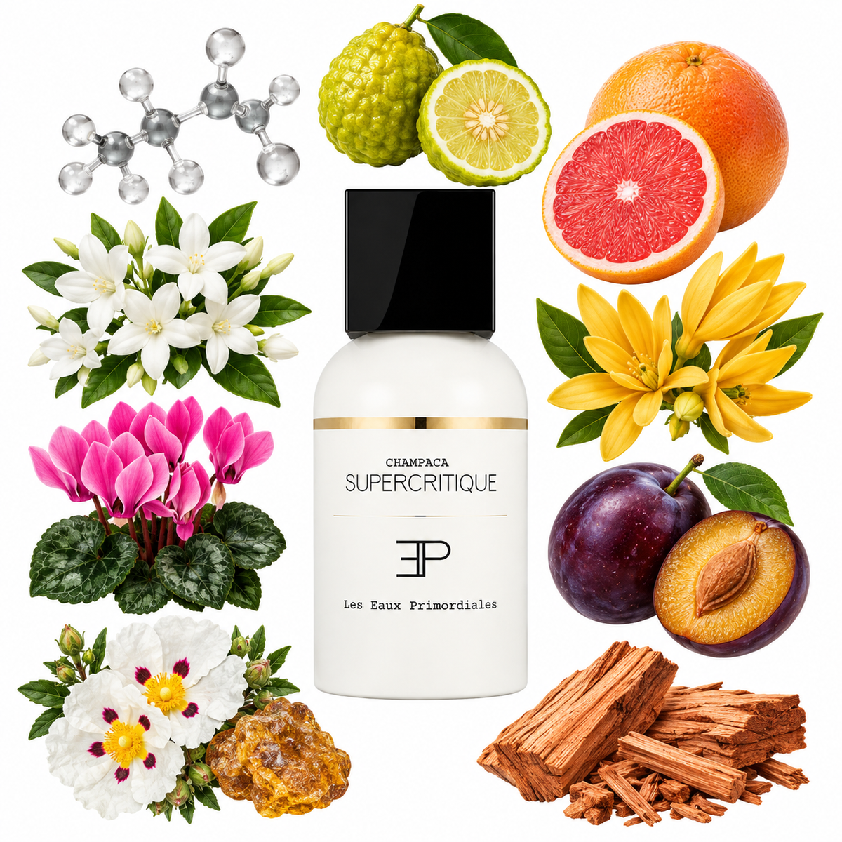 Les Eaux Primordiales Supercritique Champaca Eau de Parfum with scent notes