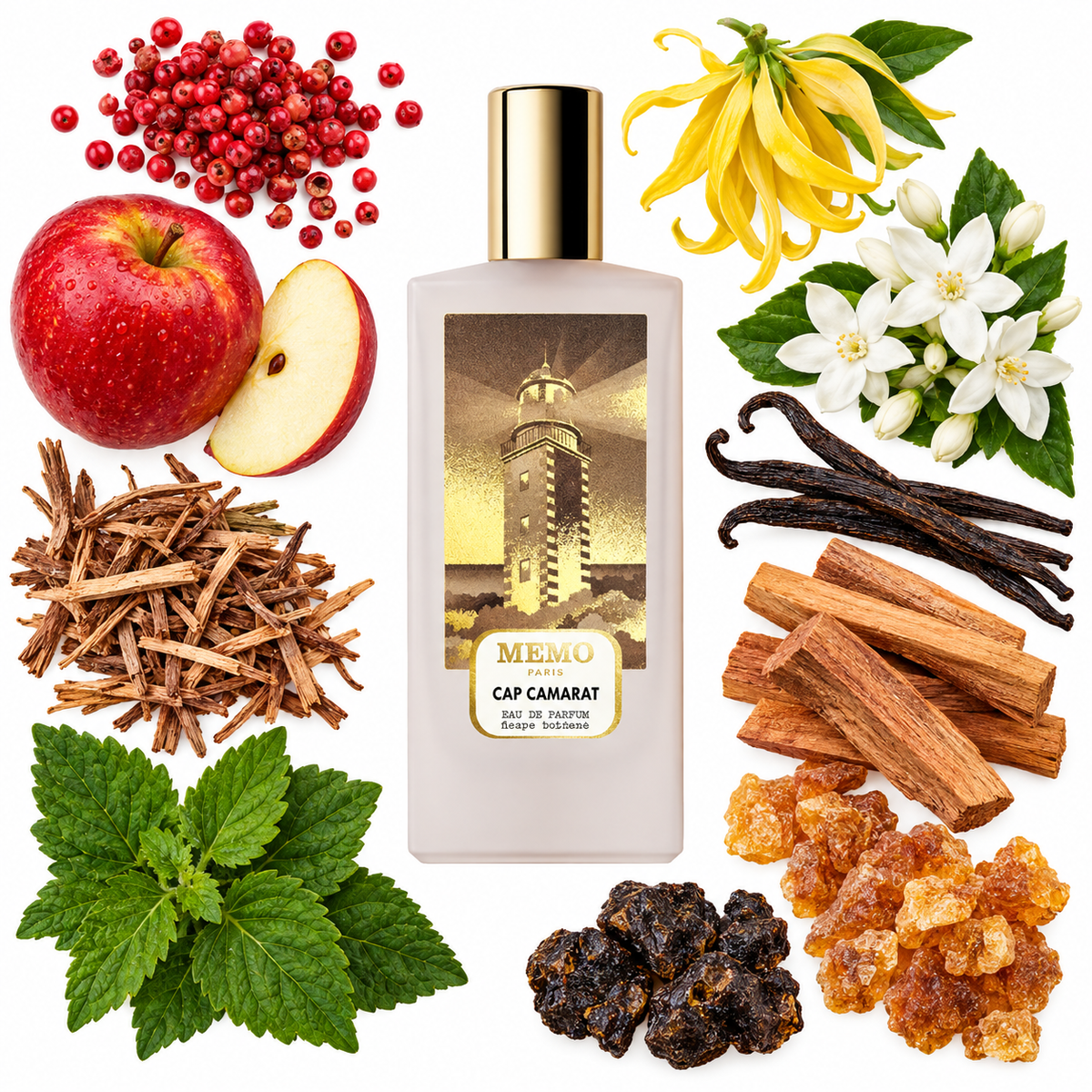MEMO Cap Camarat Eau de Parfum with scent notes