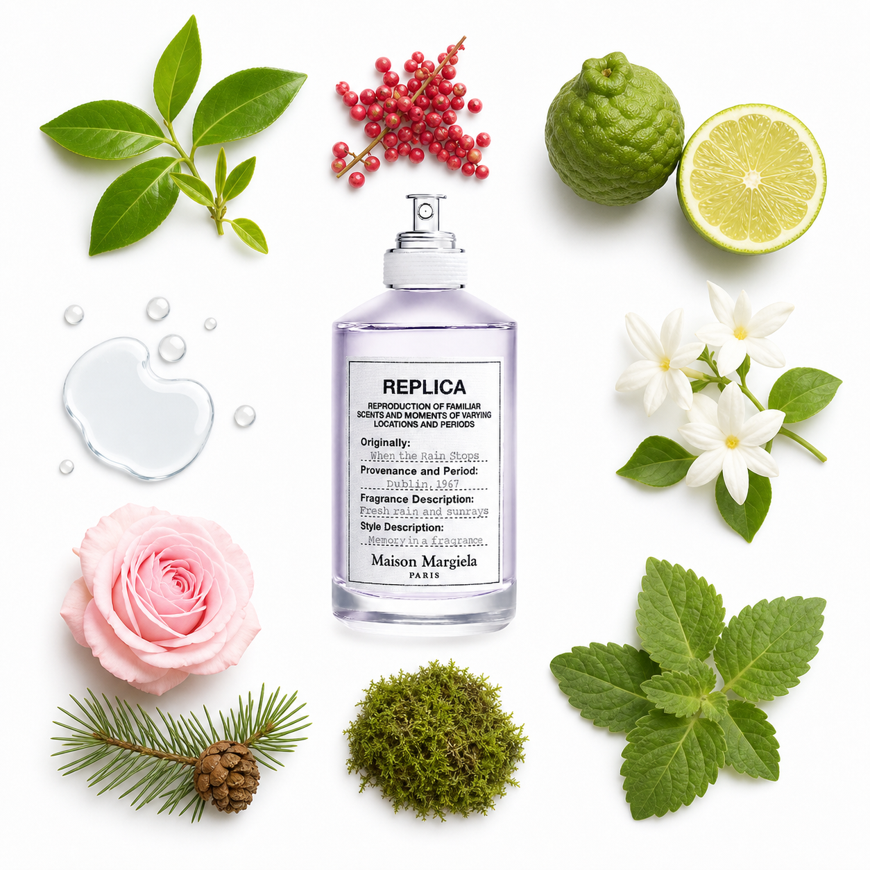 Maison Margiela Replica When the Rain Stops Eau de Toilette 30 ml with scent notes