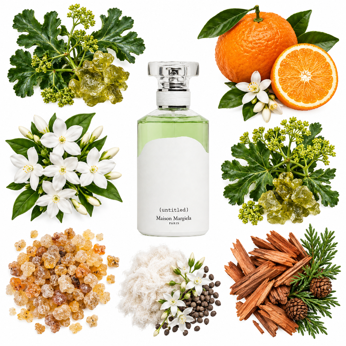 Maison Margiela Untitled Eau de Parfum with scent notes
