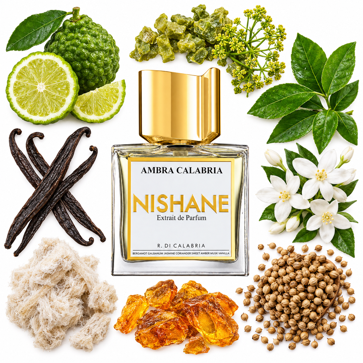 NISHANE Ambra Calabria Extrait de Parfum with scent notes