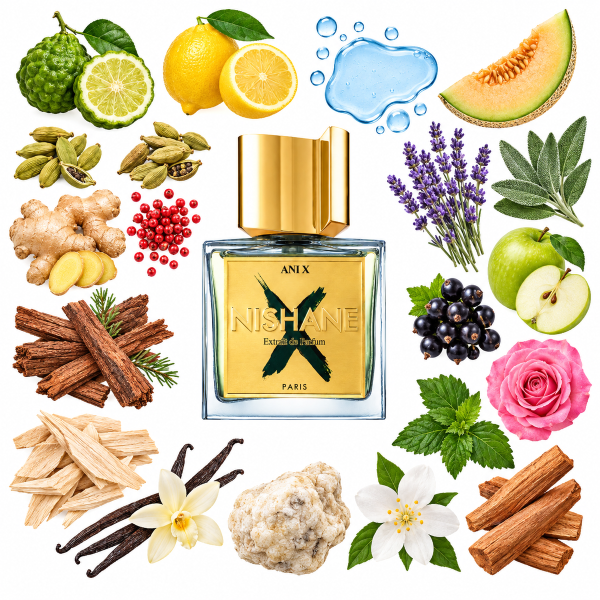 NISHANE Ani X Extrait de Parfum with scent notes