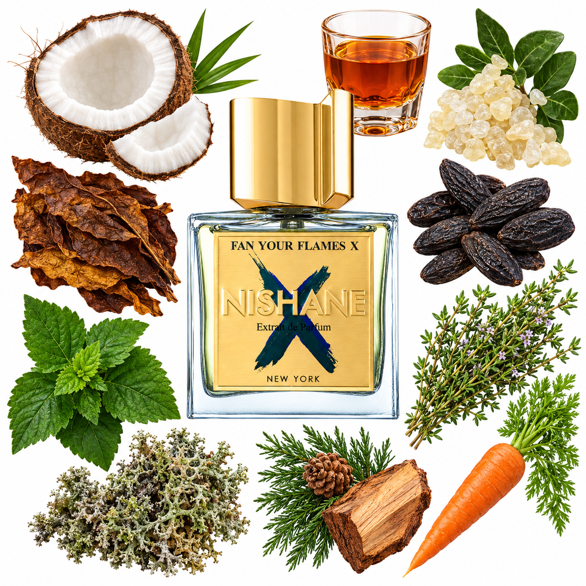 NISHANE Fan Your Flames X Extrait de Parfum with scent notes