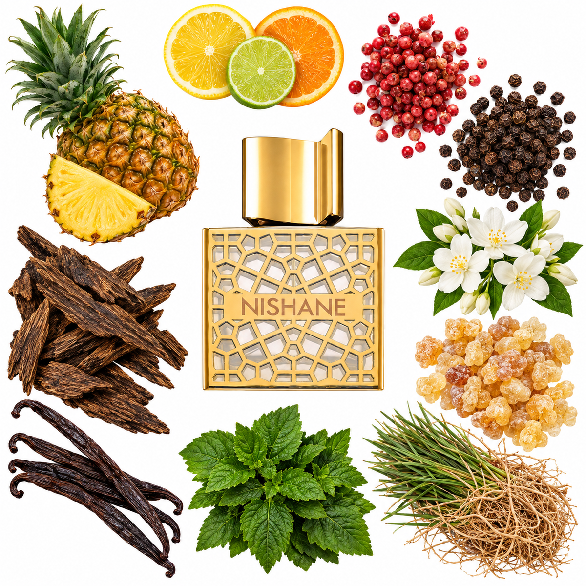 NISHANE Hacivat Oud Extrait de Parfum with scent notes