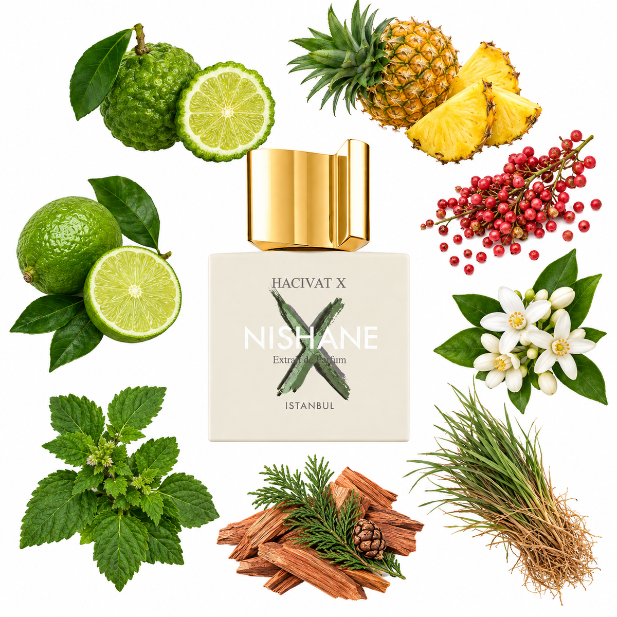 NISHANE Hacivat X Extrait de Parfum with scent notes