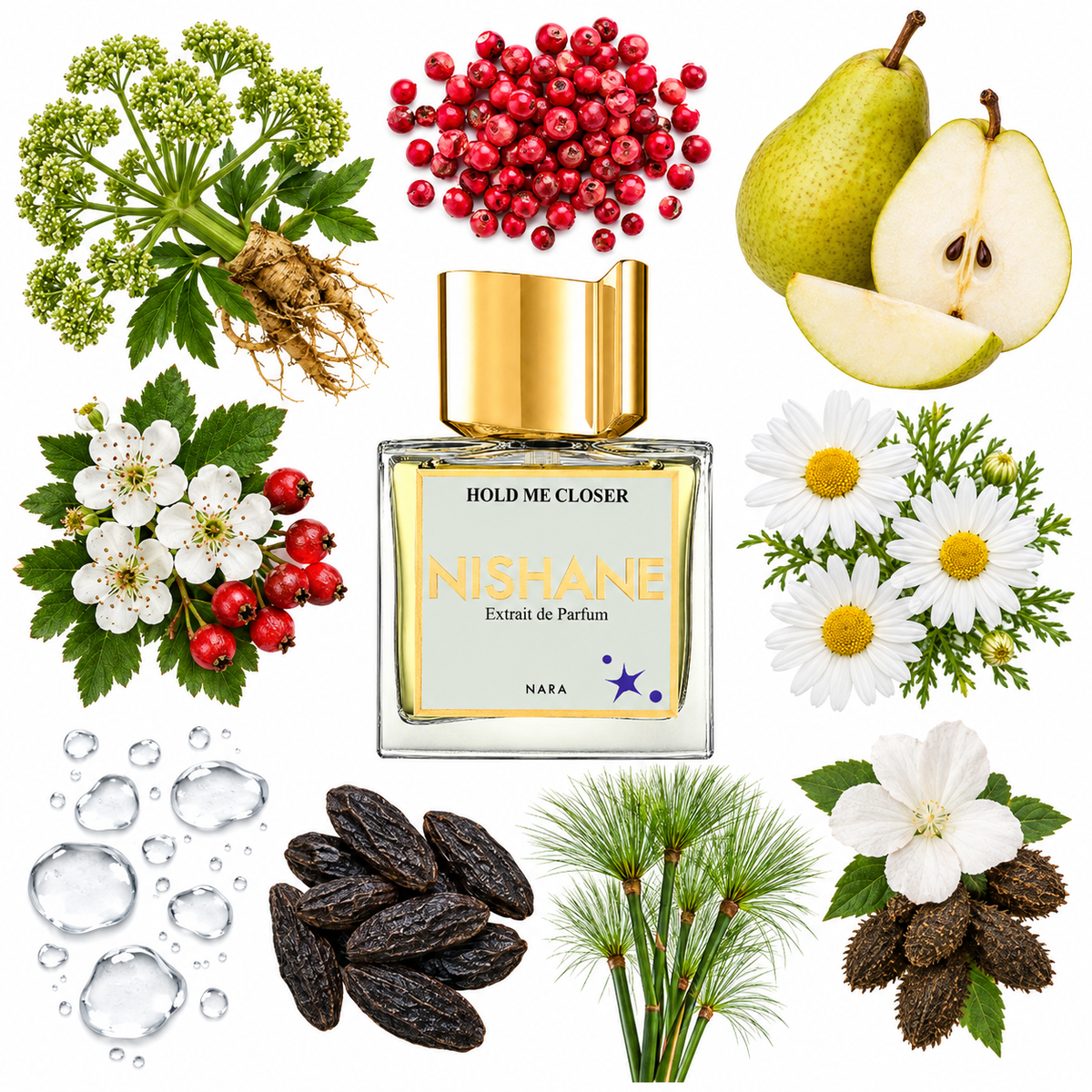 NISHANE Hold Me Closer Extrait de Parfum with scent notes