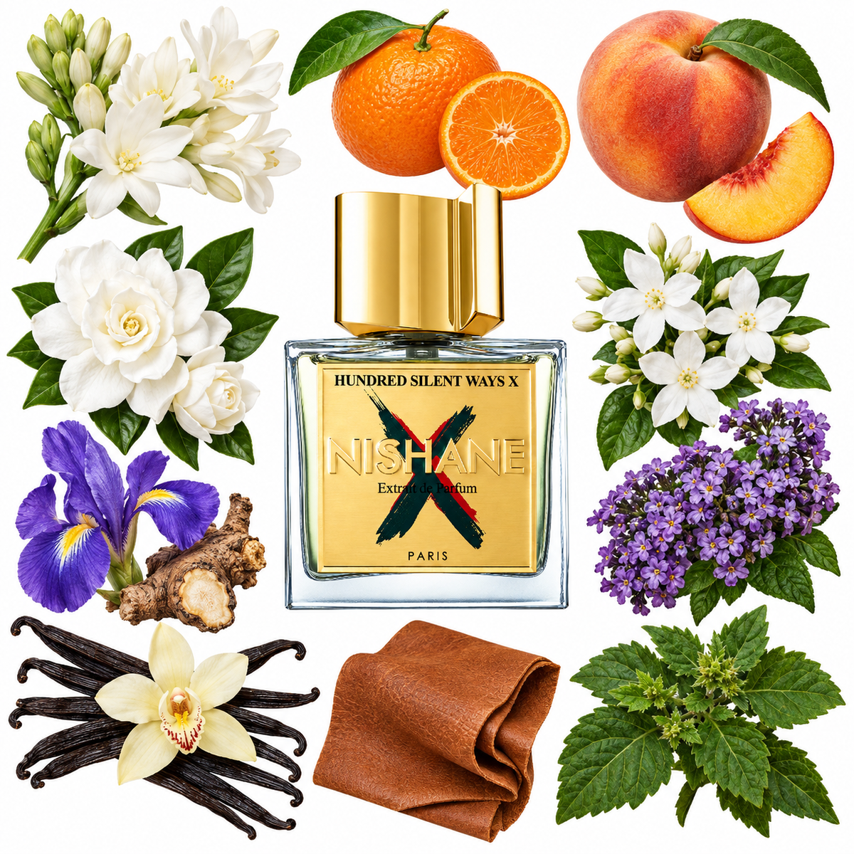 NISHANE Hundred Silent Ways X Extrait de Parfum with scent notes