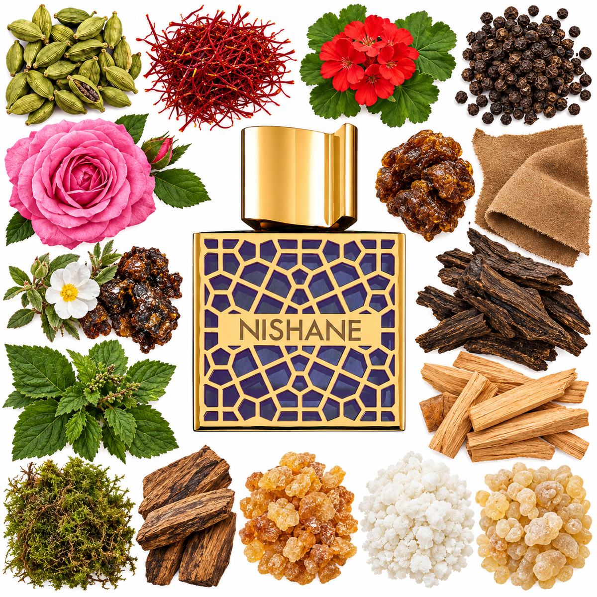 NISHANE MANA Extrait de Parfum with scent notes