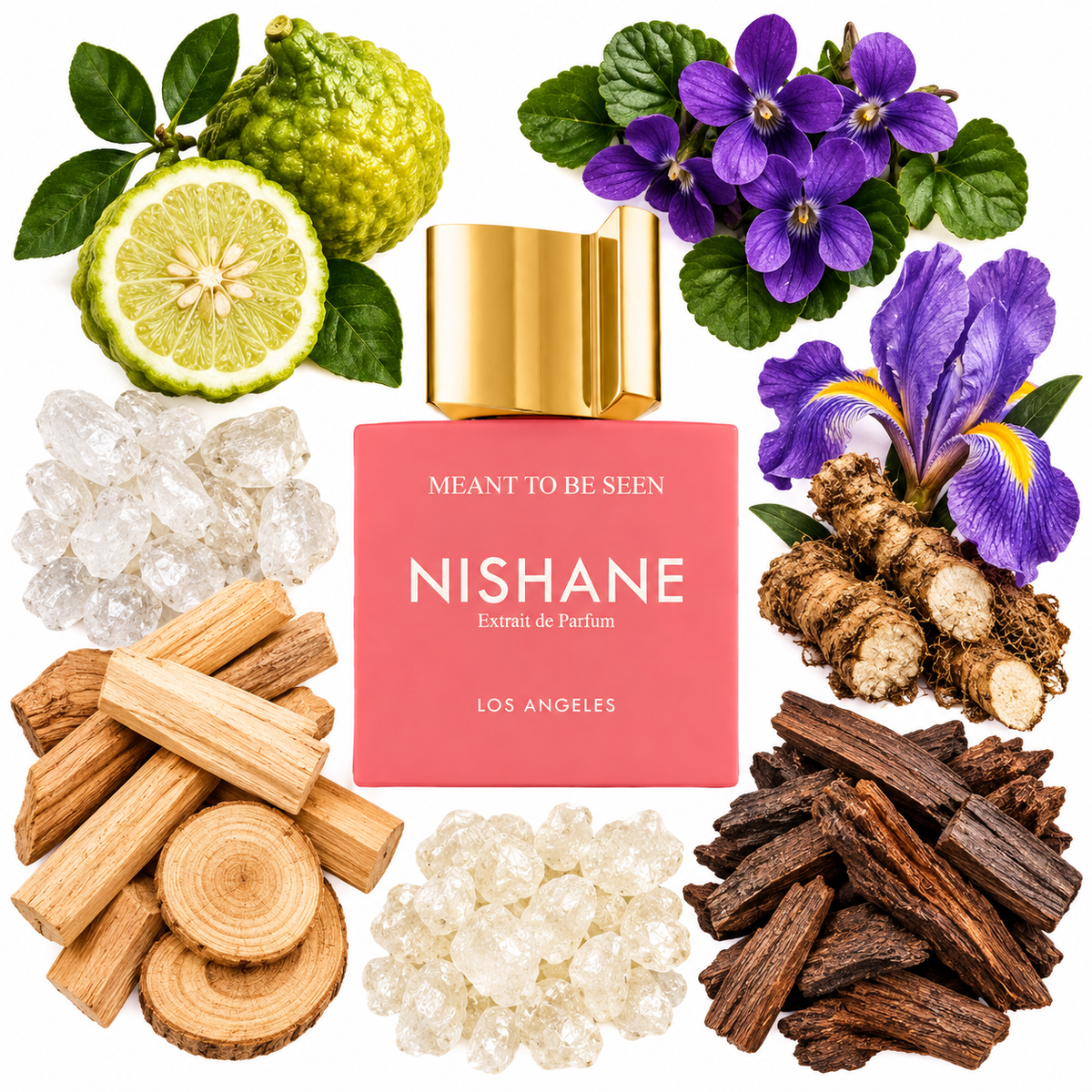 NISHANE Meant To Be Seen Extrait de Parfum with scent notes