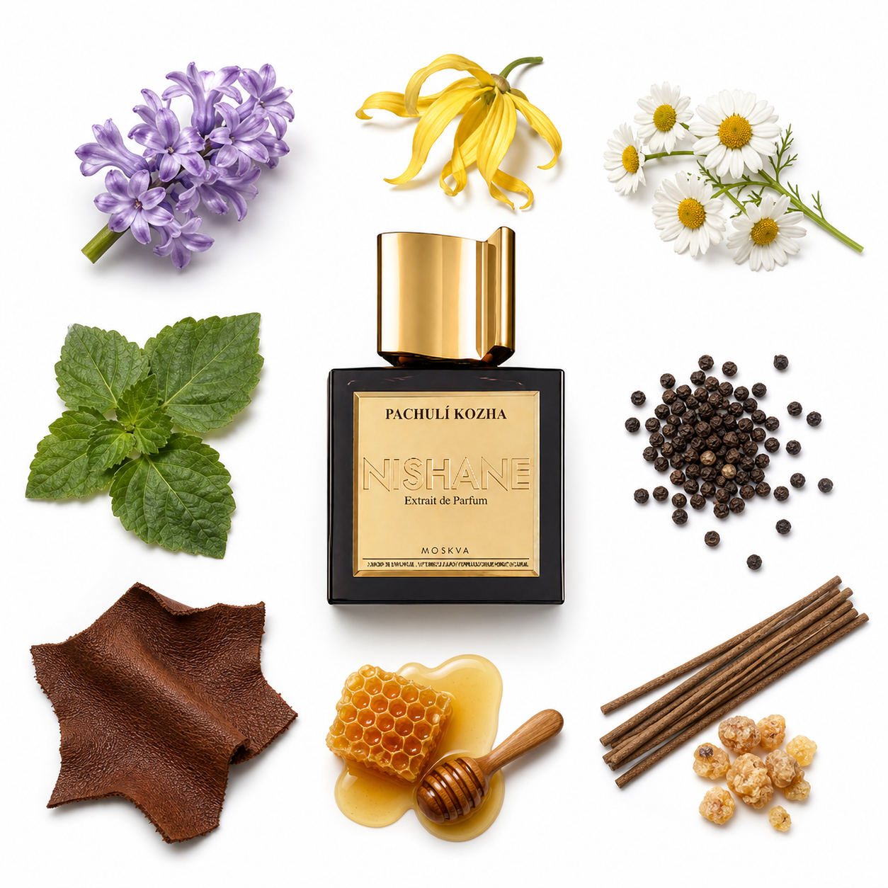 NISHANE Pachulí Kozha Extrait de Parfum 50 ml with scent notes