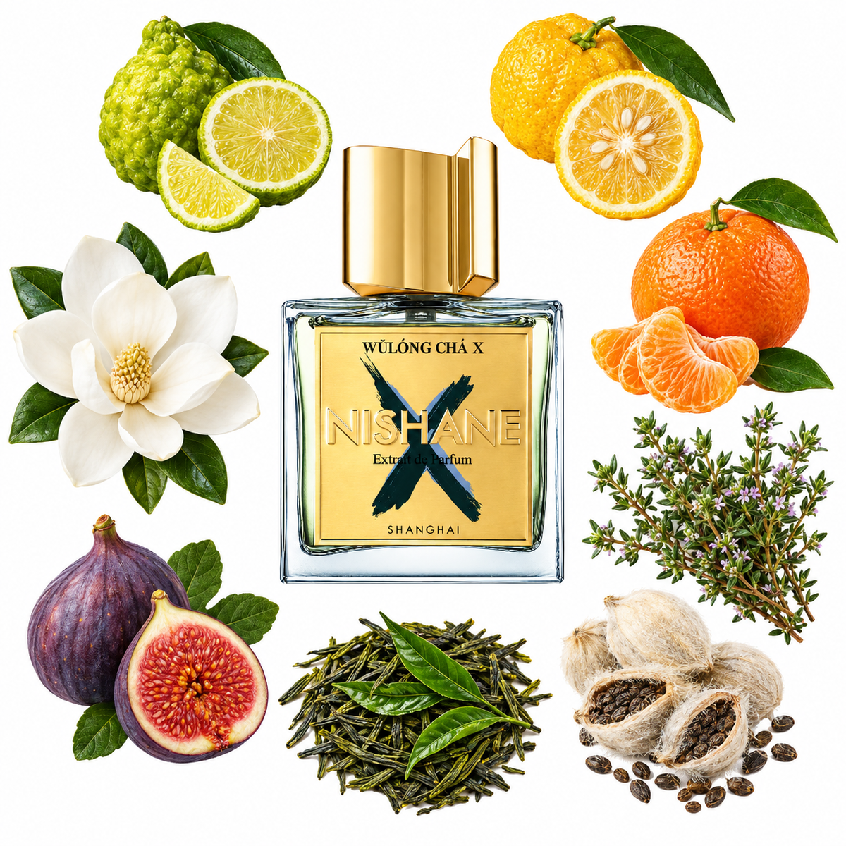 NISHANE Wulong Cha X Extrait de Parfum with scent notes