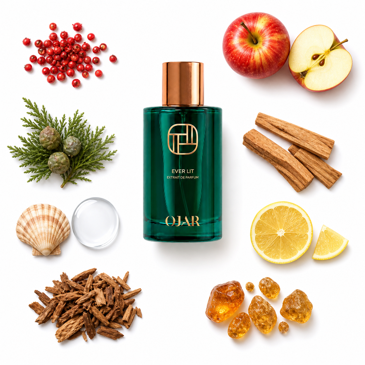 OJAR Ever Lit Extrait de Parfum 100 ml with scent notes