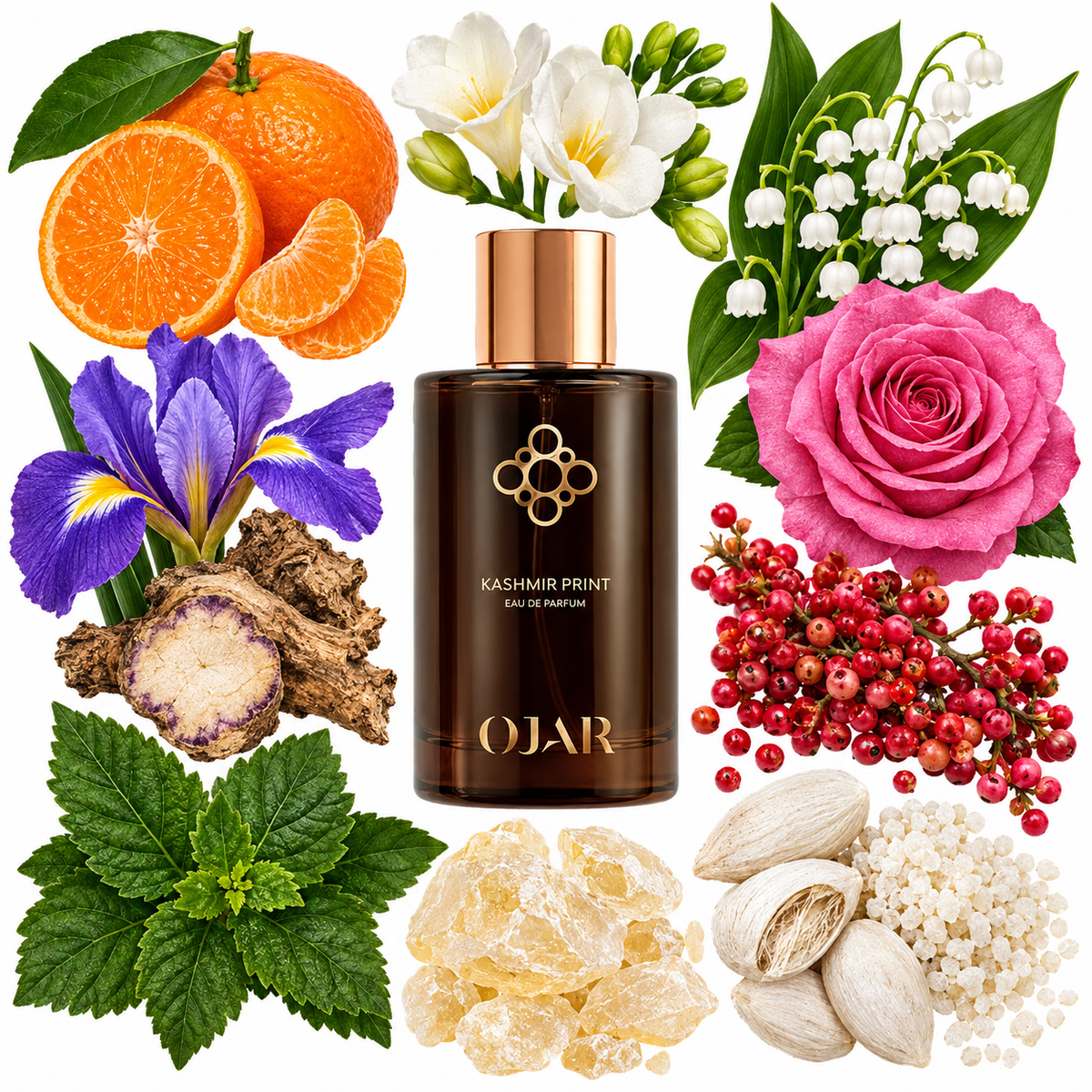 OJAR Kashmir Print Eau de Parfum with scent notes