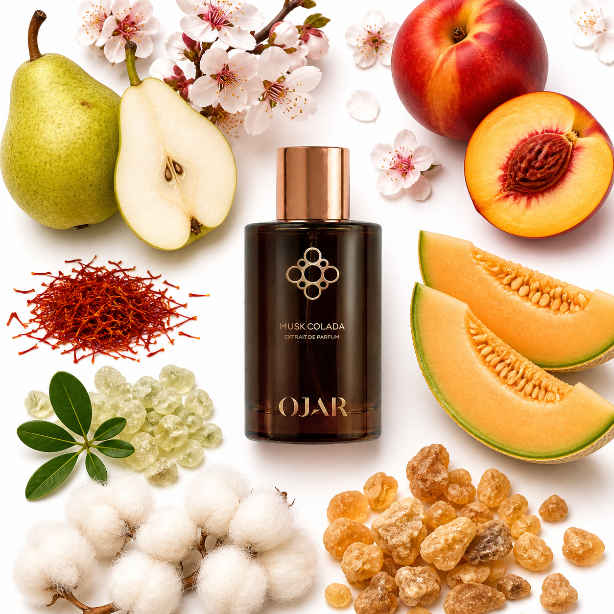OJAR Musk Colada Extrait de Parfum with scent notes