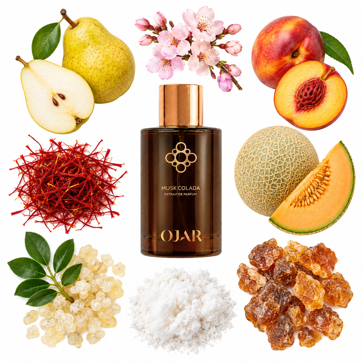 OJAR Musk Colada Extrait de Parfum with scent notes