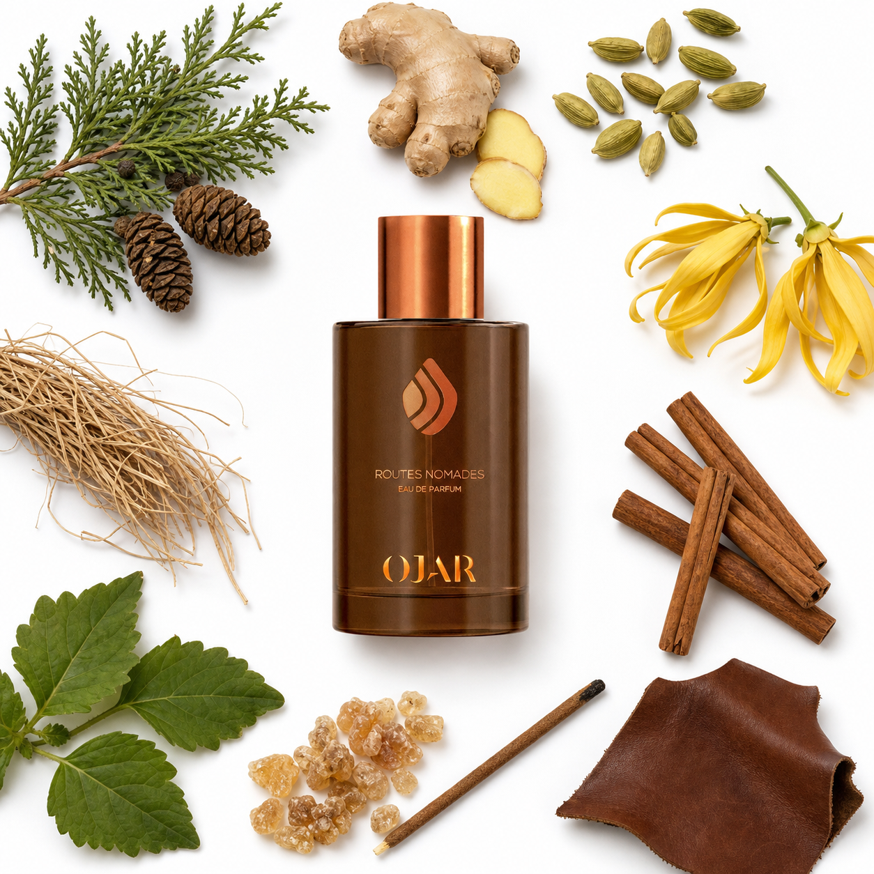OJAR Routes Nomades Eau de Parfum 100 ml with scent notes
