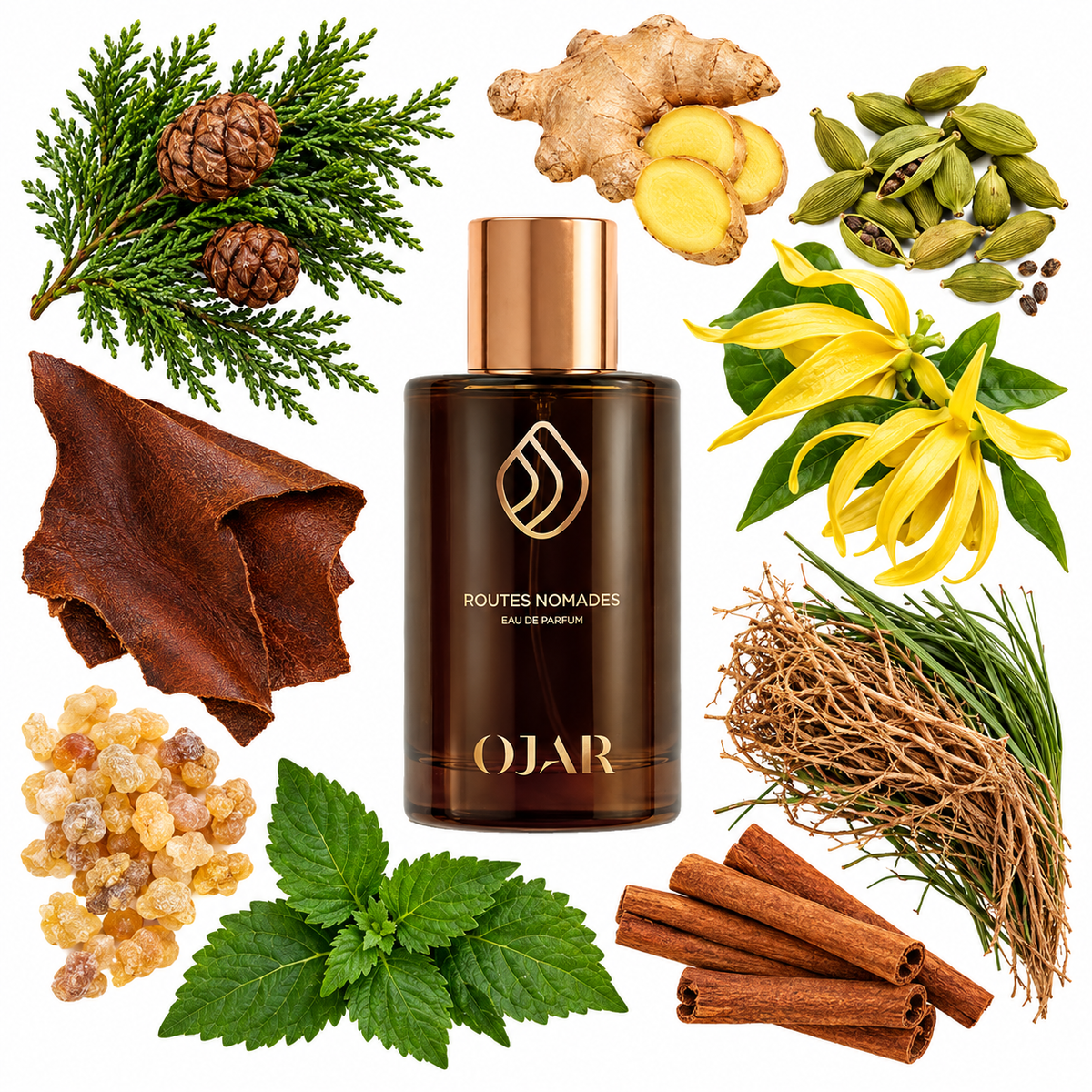 OJAR Routes Nomades Eau de Parfum with scent notes