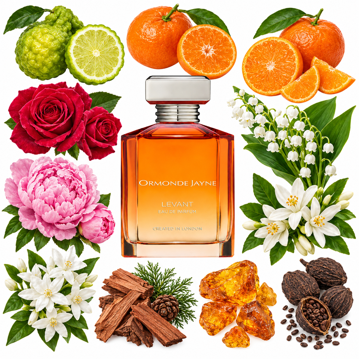 Ormonde Jayne Levant Eau de Parfum with scent notes