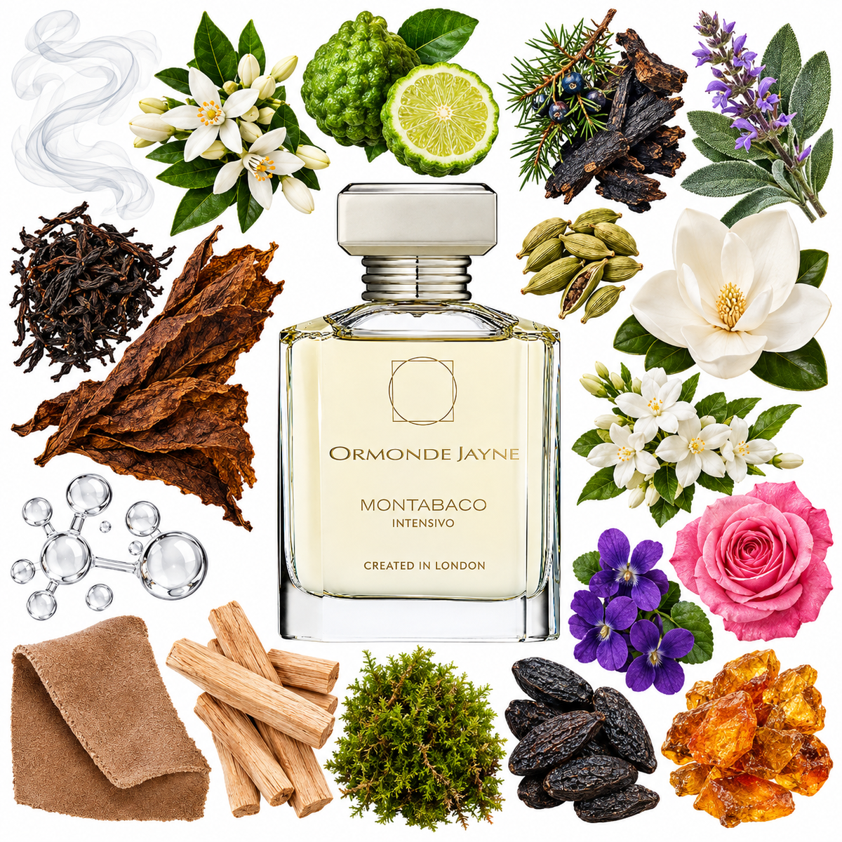 Ormonde Jayne Montabaco Intensivo Parfum with scent notes