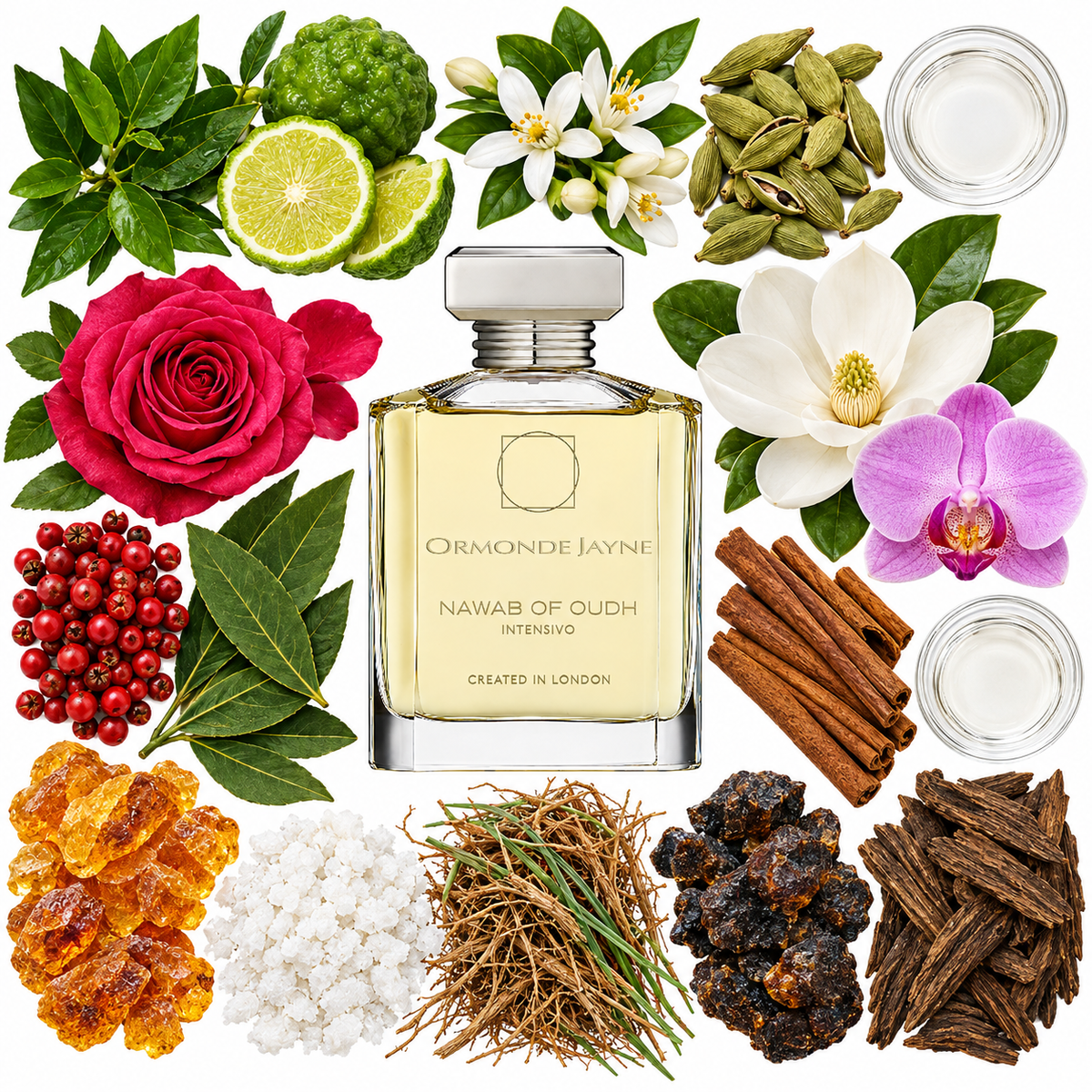 Ormonde Jayne Nawab of Oudh Intensivo Parfum with scent notes