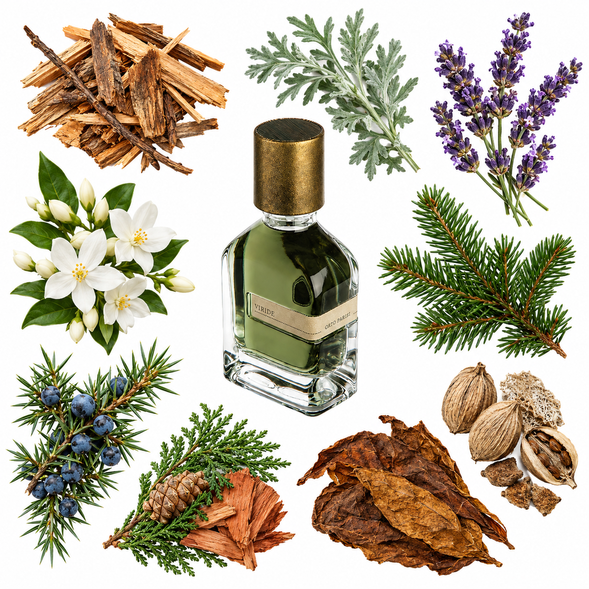 Orto Parisi Viride Eau de Parfum with scent notes
