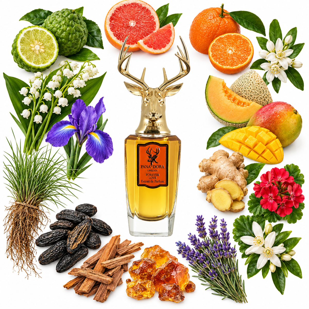 Pana Dora Forever Love Eau de Parfum with scent notes