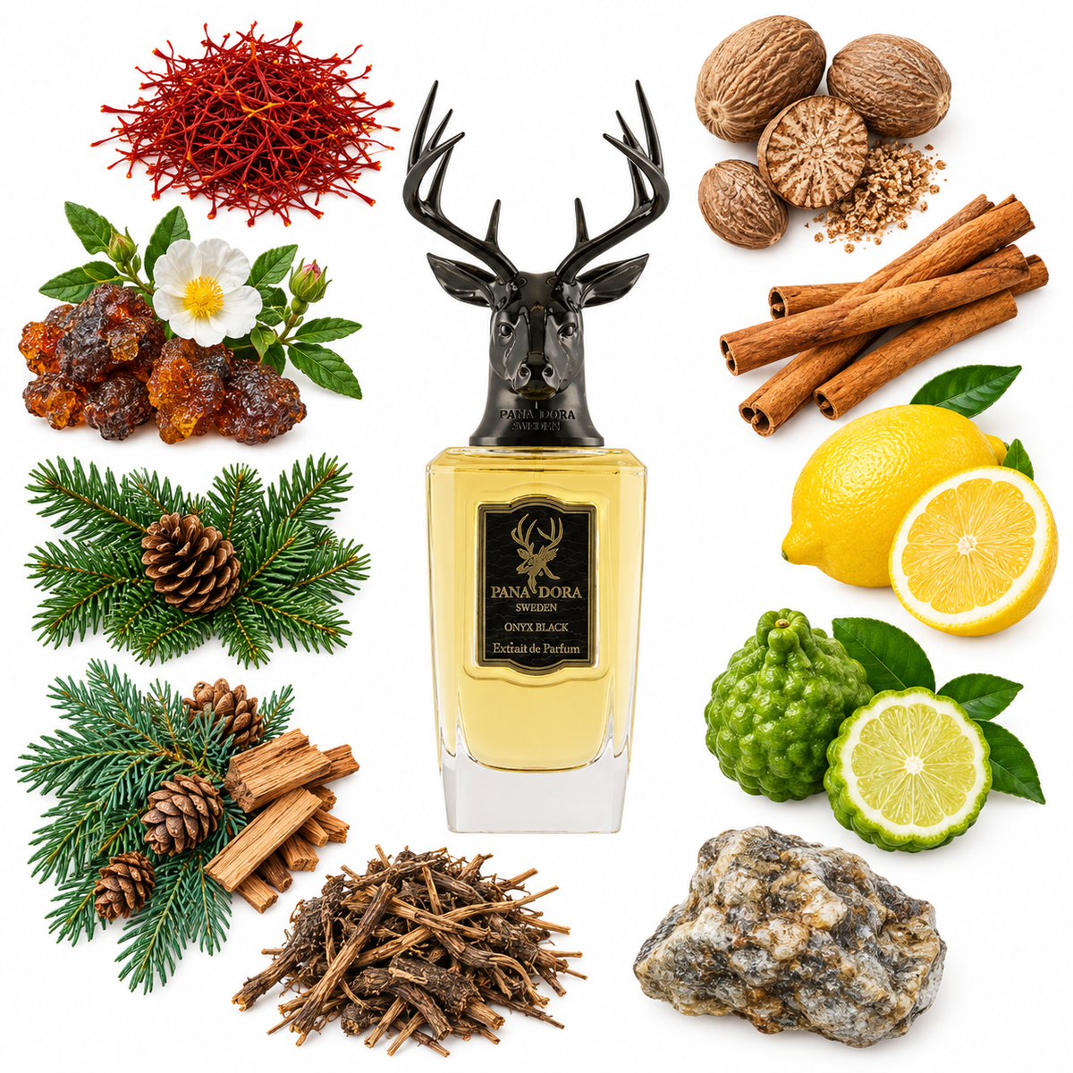 Pana Dora Onyx Black Extrait de Parfum with scent notes