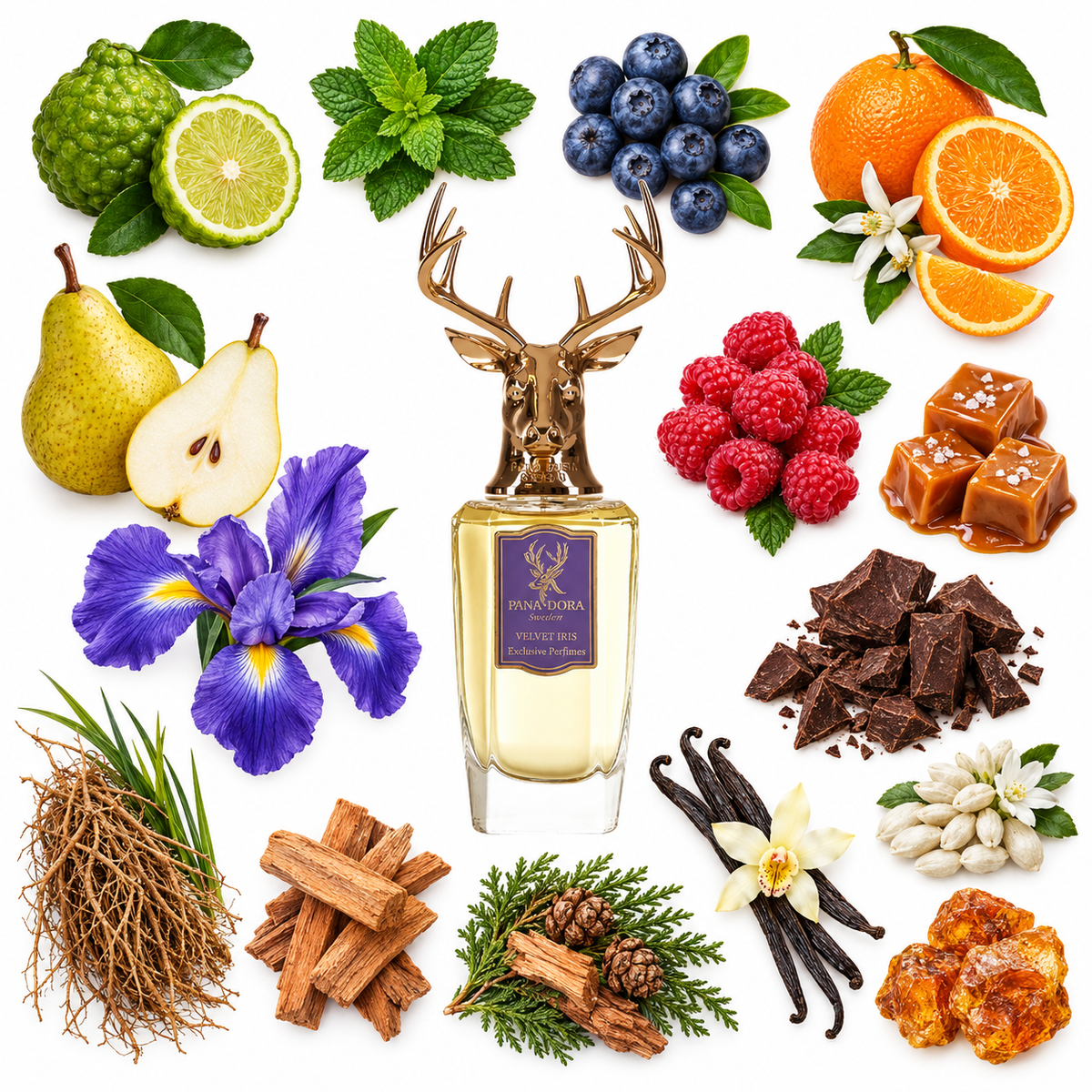Pana Dora Velvet Iris Eau de Parfum with scent notes