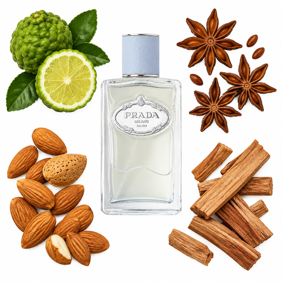 Prada Infusion D'Amande Eau de Parfum with scent notes