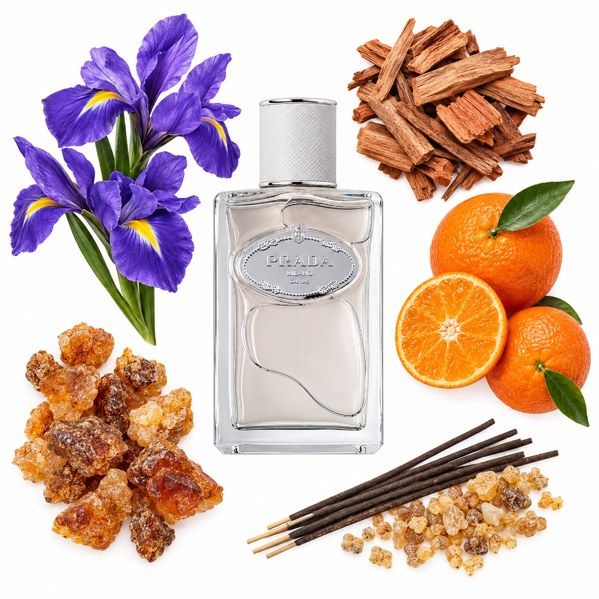 Prada Infusion De Cedre Eau de Parfum with scent notes