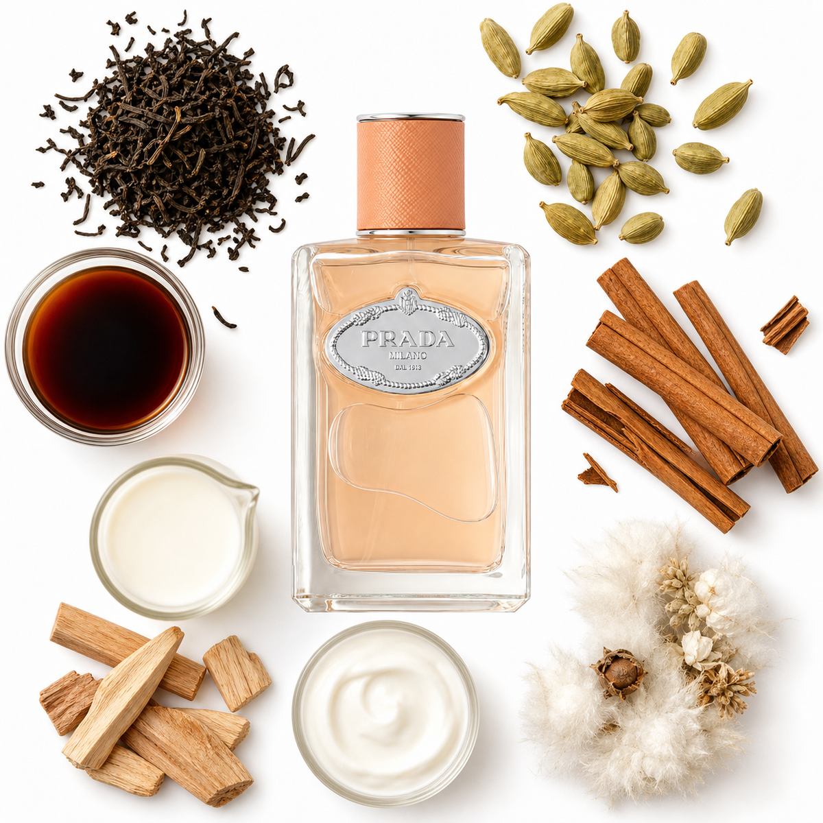 Prada Infusion Santal Chai Eau de Parfum with scent notes