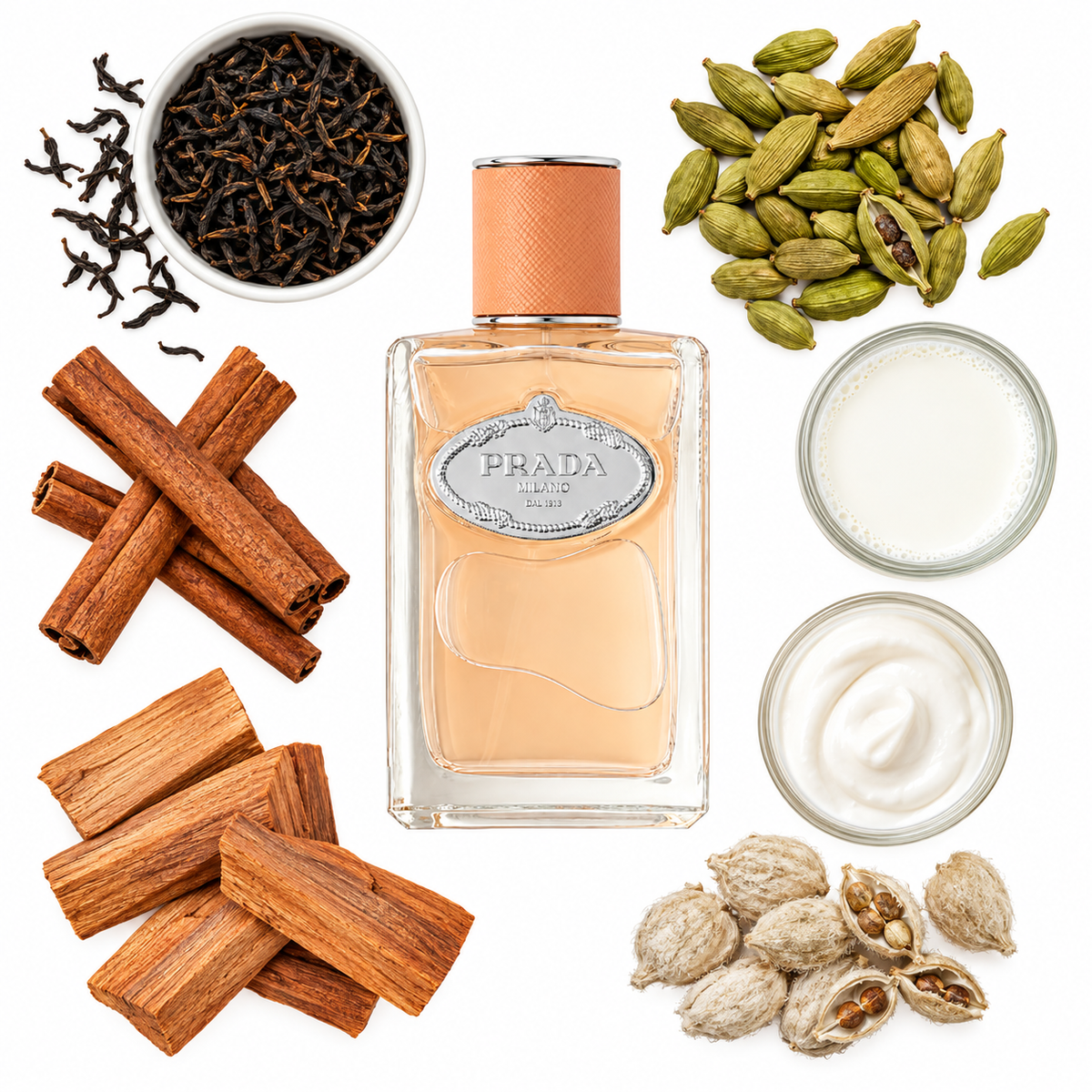Prada Infusion Santal Chai Eau de Parfum with scent notes