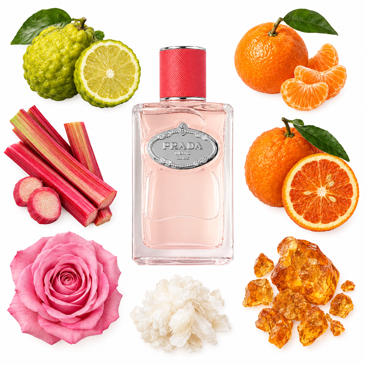Prada Infusion de Rhubarbe Eau de Parfum with scent notes