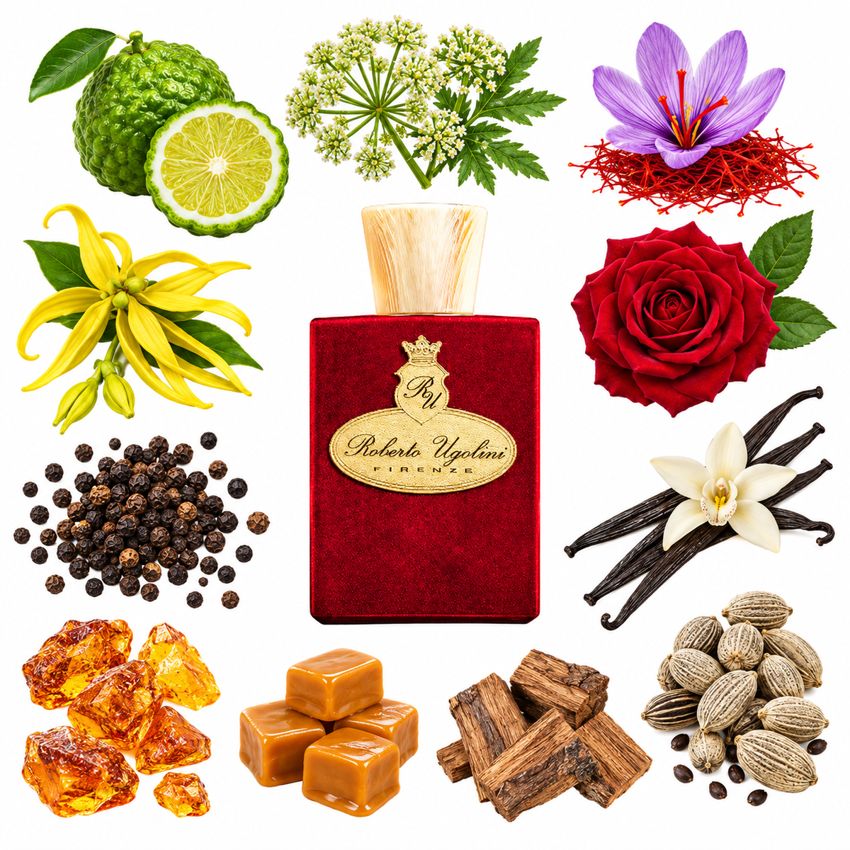 Roberto Ugolini 4 Rosso Extrait de Parfum with scent notes