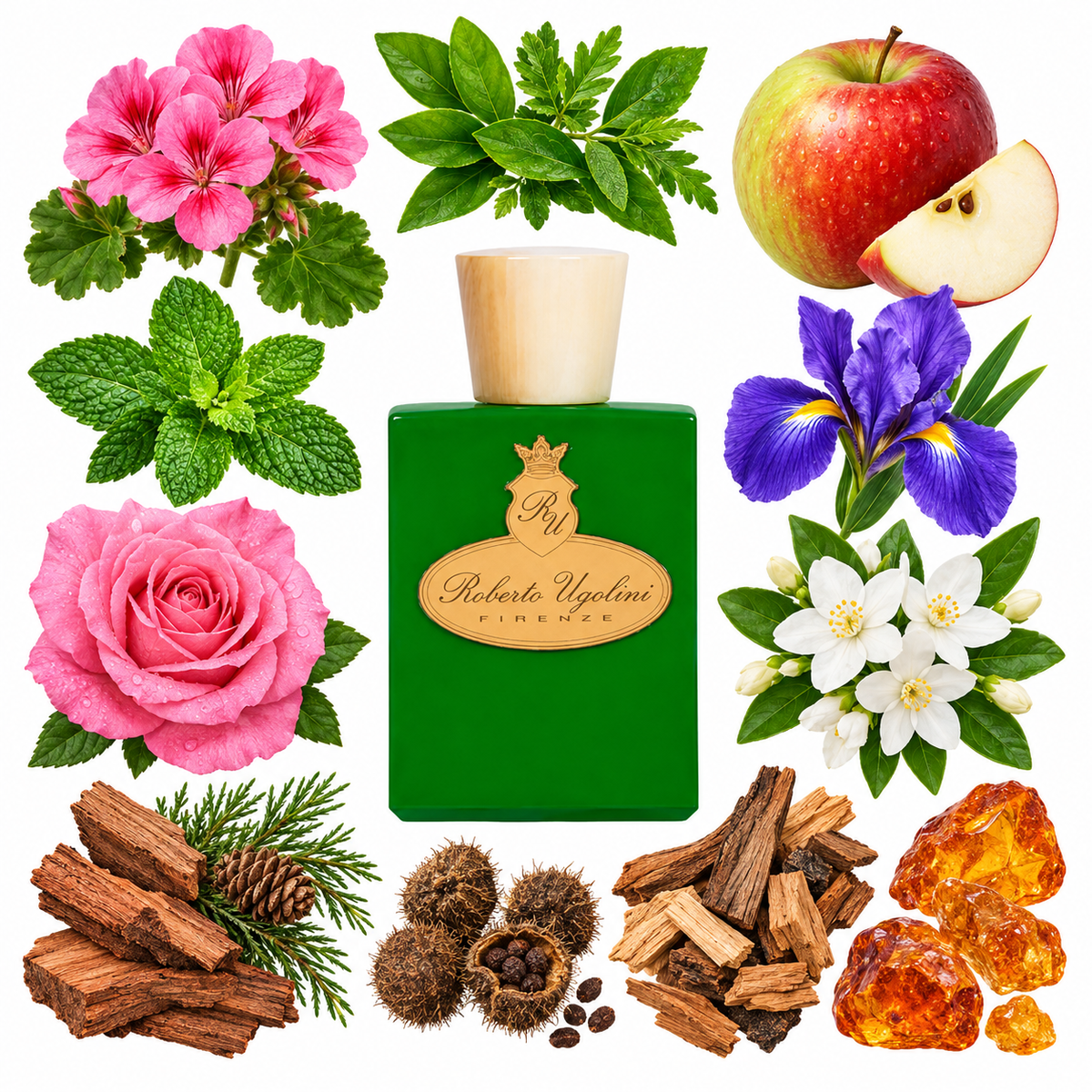 Roberto Ugolini Giardino die Boboli Extrait de Parfum with scent notes