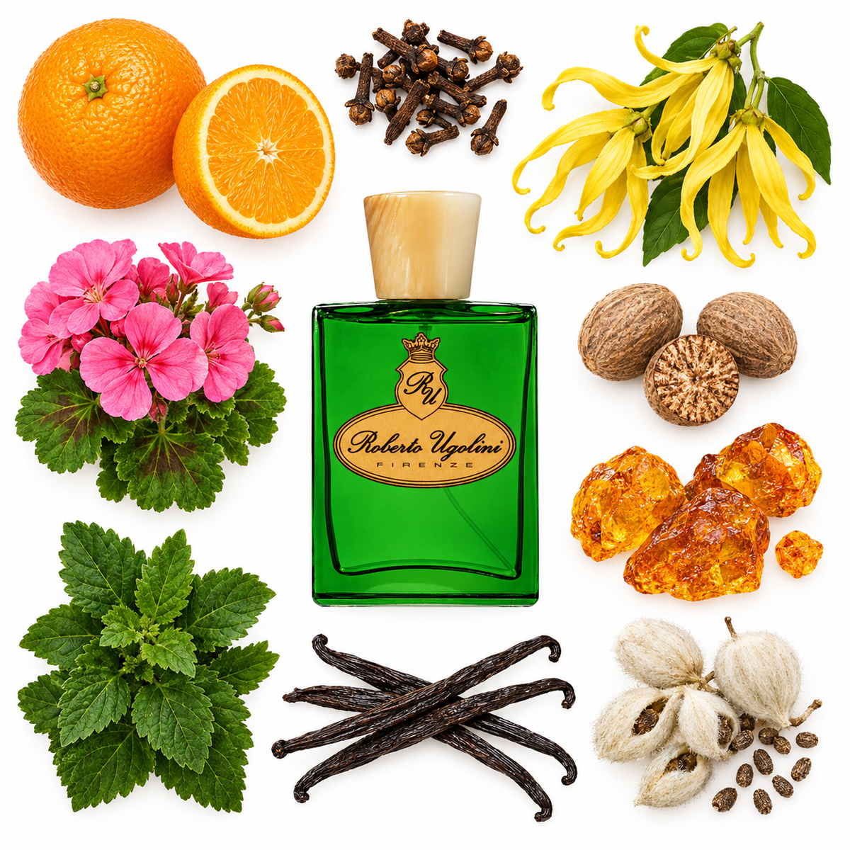 Roberto Ugolini Loafer Eau de Parfum with scent notes