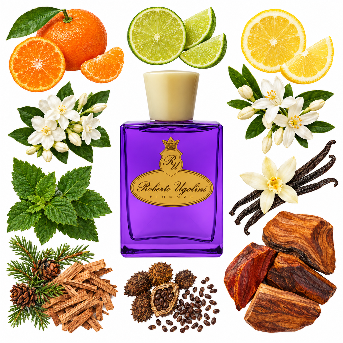Roberto Ugolini Marzocco Eau de Parfum with scent notes