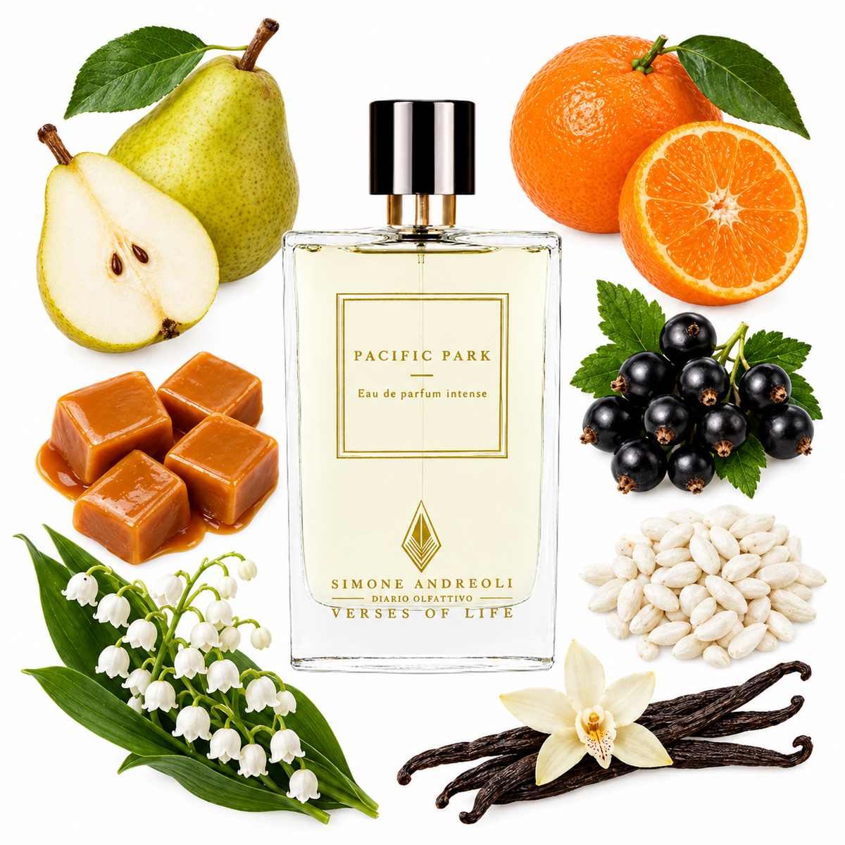Simone Andreoli Pacific Park Eau de Parfum with scent notes