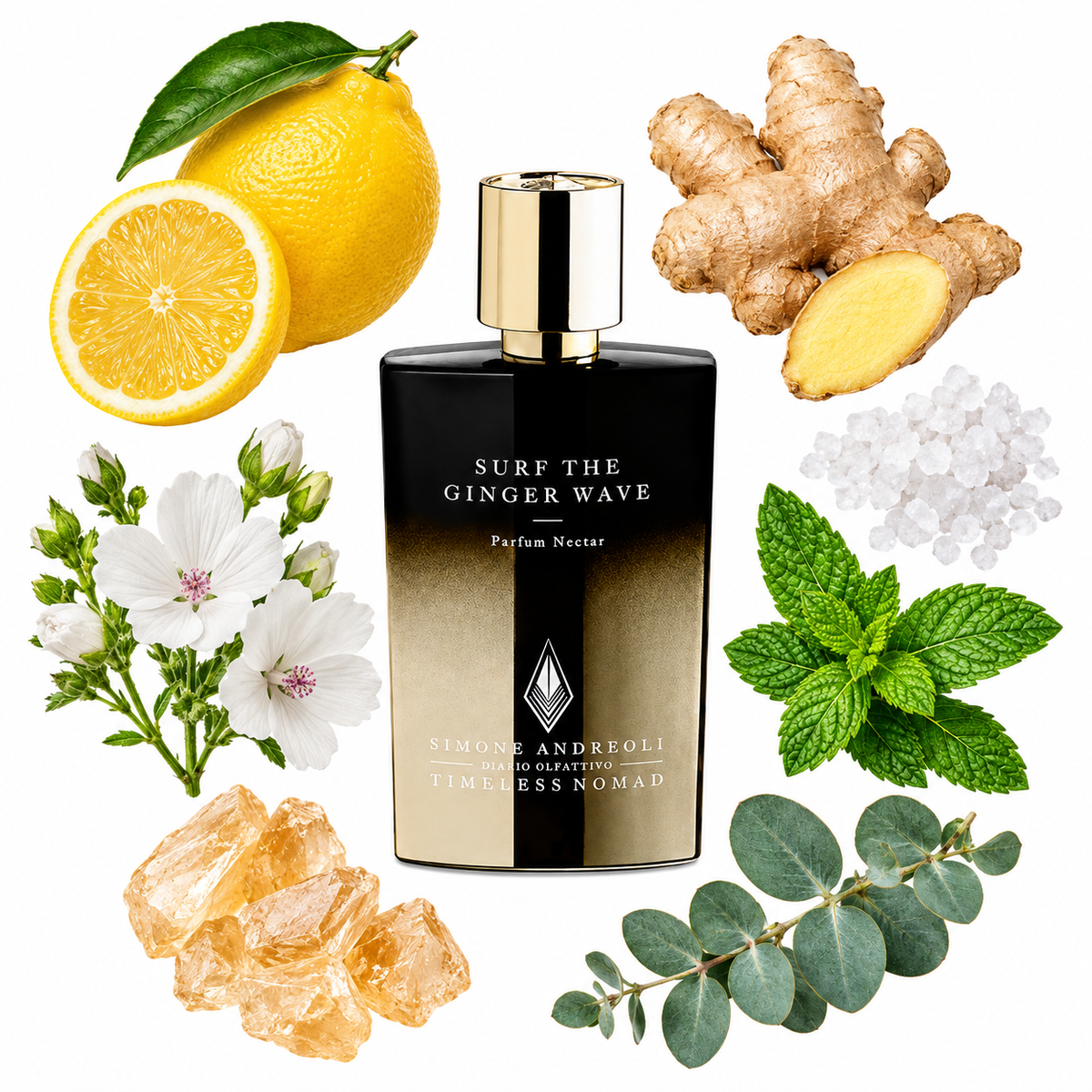 Simone Andreoli Surf the Ginger Wave Parfum with scent notes