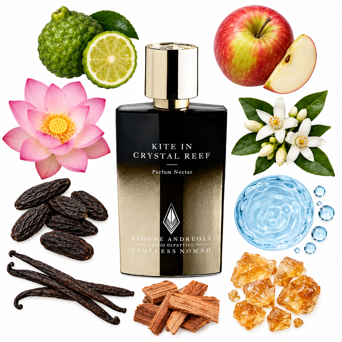 Simone Andreoli Timeless Nomad Kite In Cristal Reef Parfum with scent notes