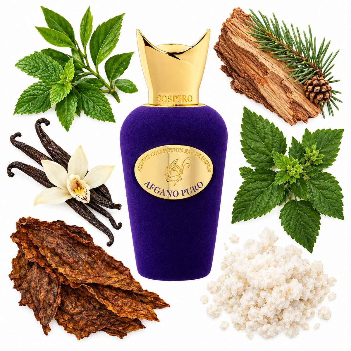 Sospiro Afgano Puro Eau de Parfum with scent notes