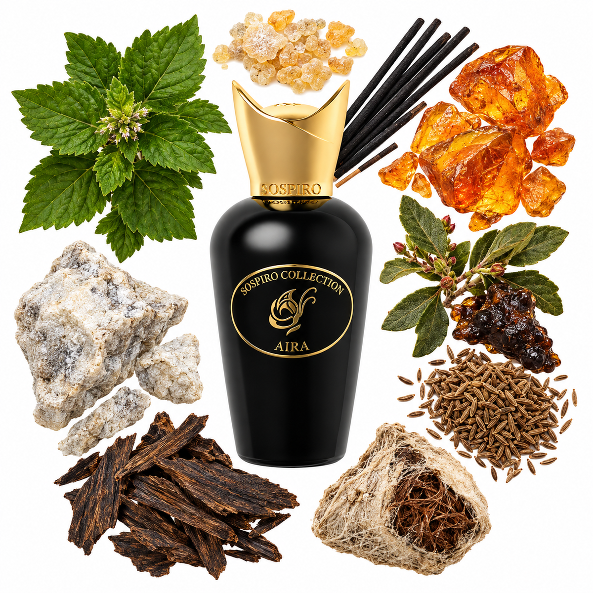 Sospiro Aira Eau de Parfum with scent notes