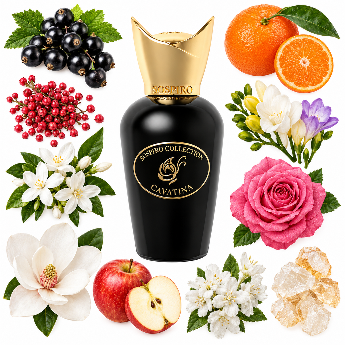 Sospiro Cavatina Eau de Parfum with scent notes